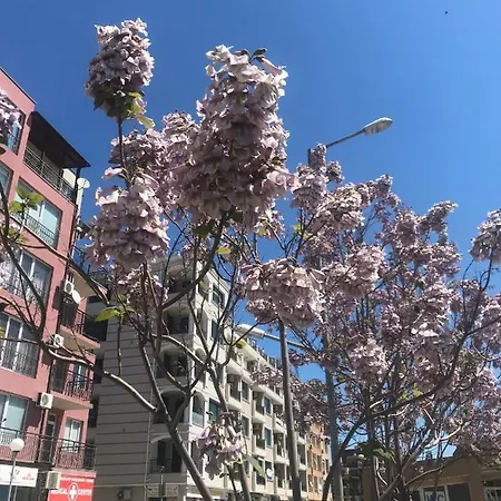 Поморие Апартамент С 1 Спальней Облака Apartment